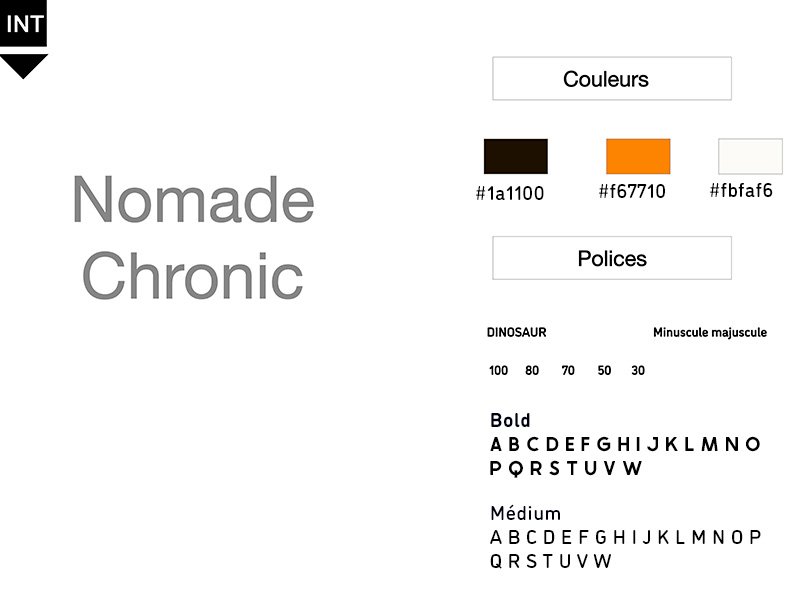 maquette du site nomade chronic